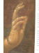 Thumbnail P6080065.JPG 