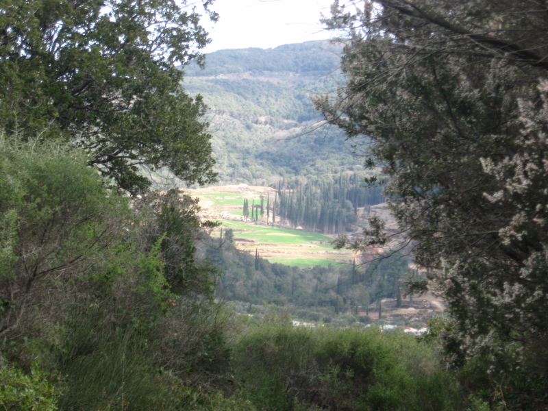 Scaled image Sveta Suma 027.jpg 