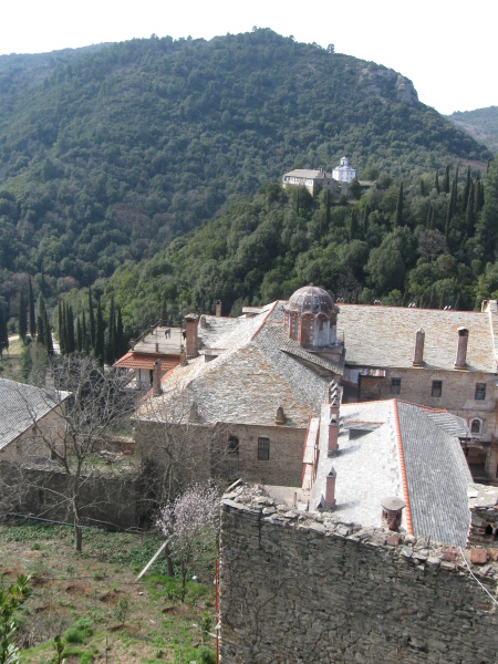 Scaled image Sveta Suma 066.jpg 