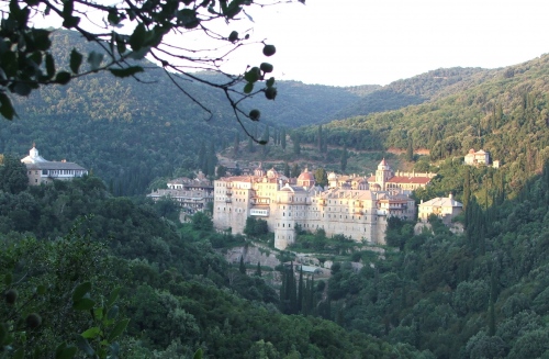 Scaled image zografcrop1.jpg 