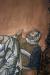Thumbnail 11207349_726717330793823_5086126047873104716_n.jpg 