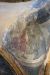 Thumbnail 11988769_726717000793856_7512455605535715296_n.jpg 