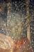 Thumbnail 12065811_726715870793969_726531051889820465_n.jpg 