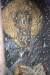 Thumbnail 12187897_726711704127719_6562828993973923453_n.jpg 