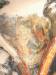 Thumbnail 12191143_198590770486517_1061473532557669271_o.jpg 