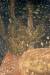 Thumbnail 12208511_726710670794489_6307330355711211822_n.jpg 