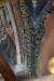Thumbnail 12208607_726716454127244_45916205039088885_n.jpg 