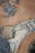 Thumbnail 12227560_726717417460481_8061645438336575699_n.jpg 