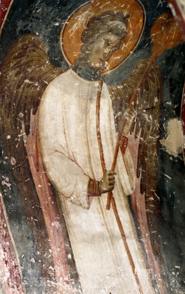 Scaled image 49.jpg 