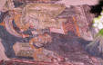 Thumbnail 41.jpg 