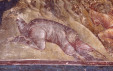 Thumbnail 56.jpg 