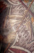 Thumbnail 71.jpg 