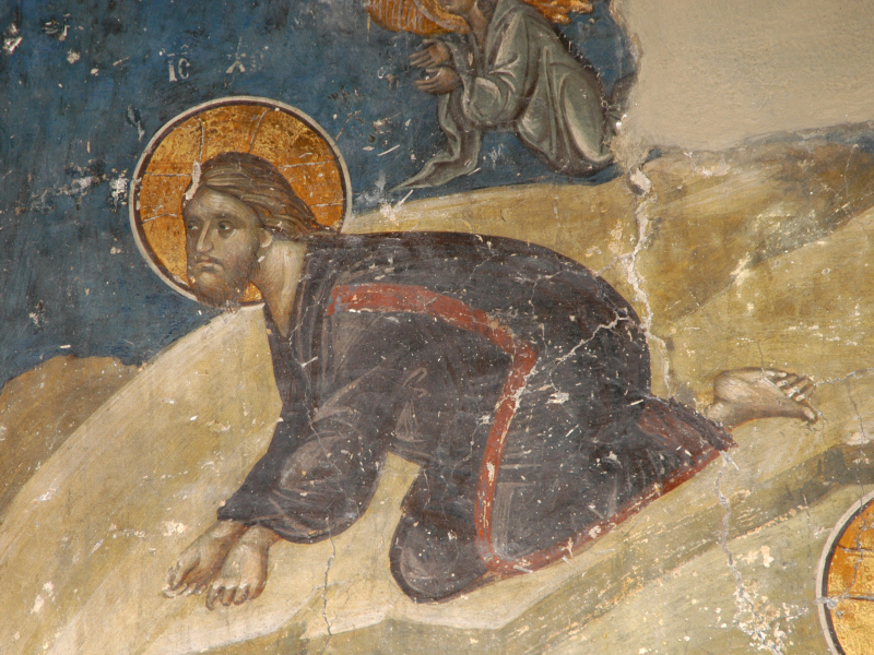 Scaled image 134.jpg 