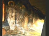 Thumbnail 027.jpg 