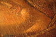 Thumbnail Афины Византийский музей иконы Ик.шк.11_153.jpg 
