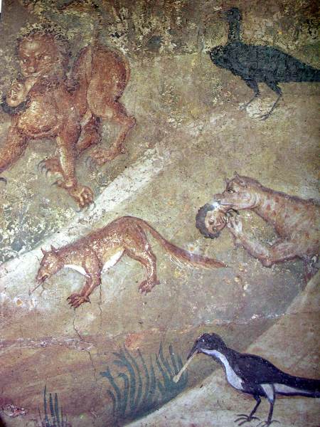 Scaled image , (11).JPG 