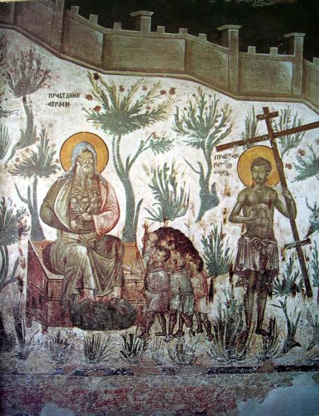 Scaled image , (13).JPG 
