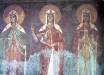 Thumbnail , (17).JPG 