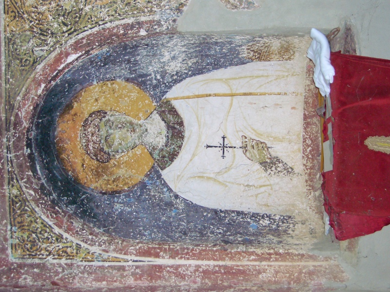 Scaled image DSCI0082.JPG 