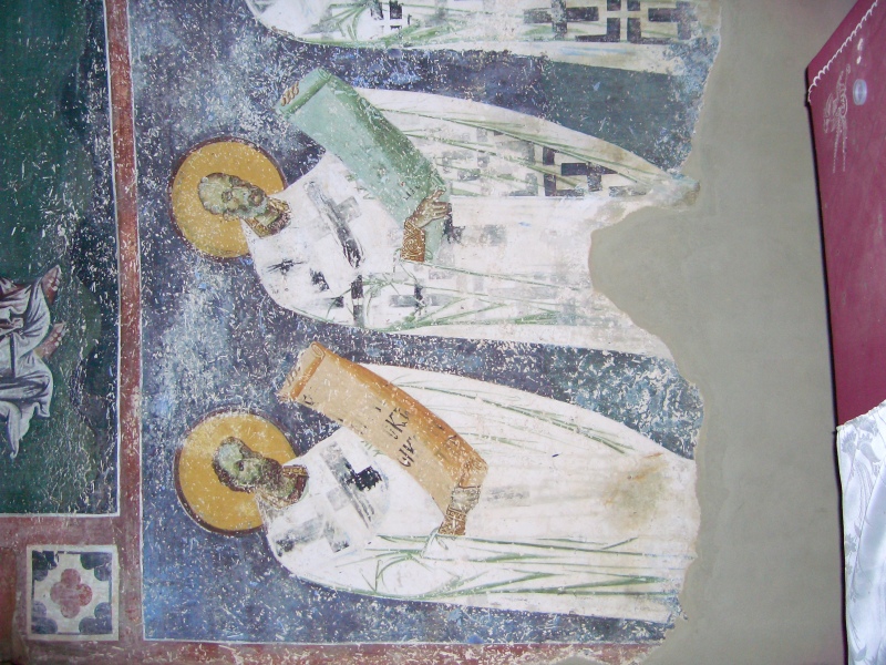 Scaled image DSCI0096.JPG 