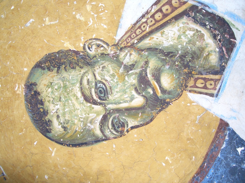 Scaled image DSCI0114.JPG 