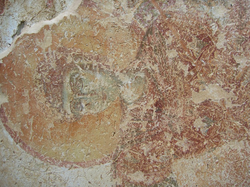 Scaled image DSCI0143.JPG 