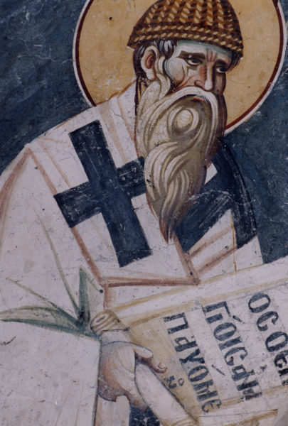 Scaled image 041.jpg 