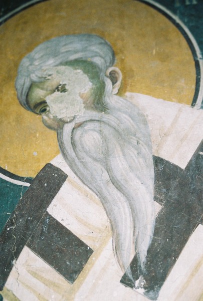 Scaled image 000001.JPG 
