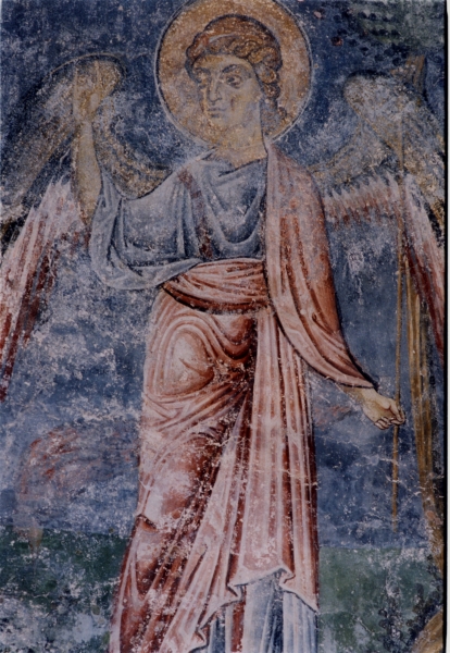 Scaled image 164.jpg 