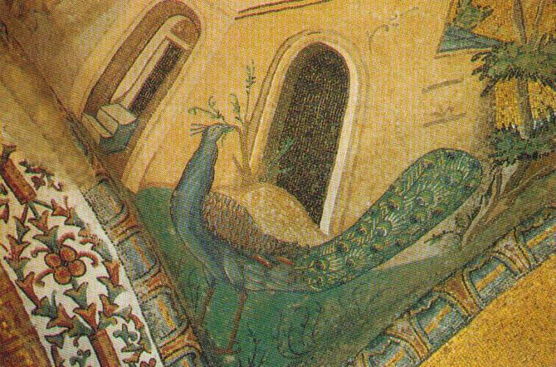 Scaled image Detalj paun Hora.JPG 